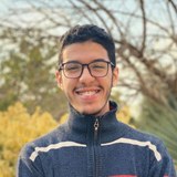 Mostafa Elmoalem